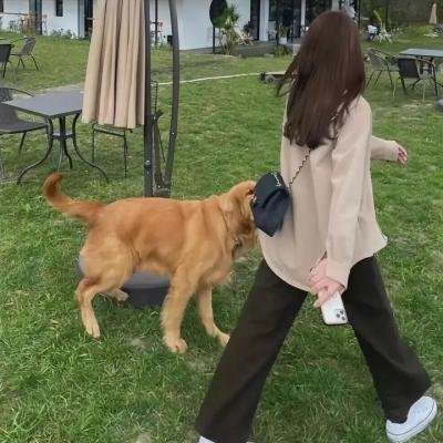 王子与贫民窟